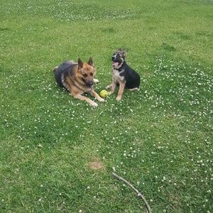 Meet your Posher, Jonathan